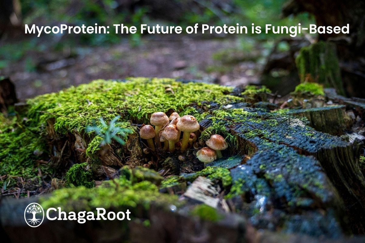 MycoProtein: The Future of Protein is Fungi-Based