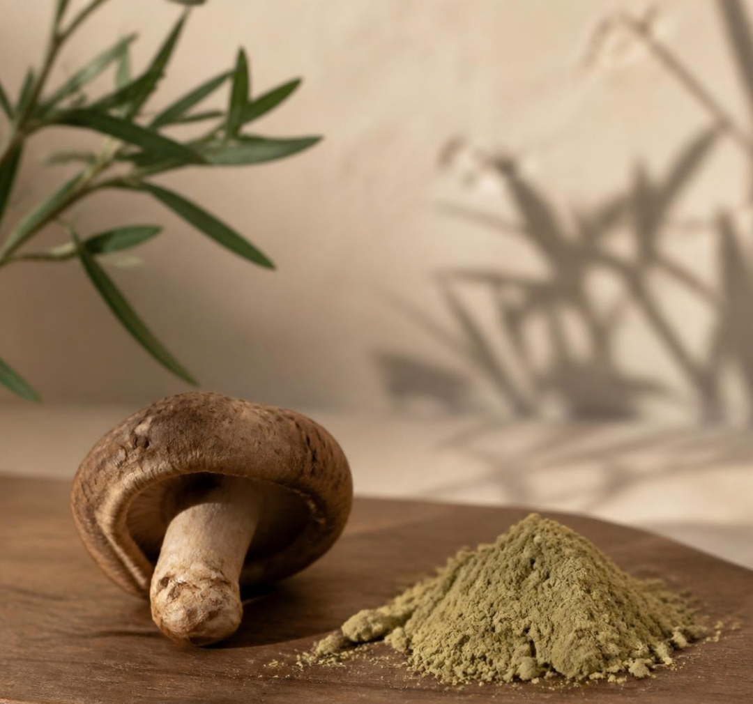 A Shiitake mushroom beside a pile of protein powder on a wooden board