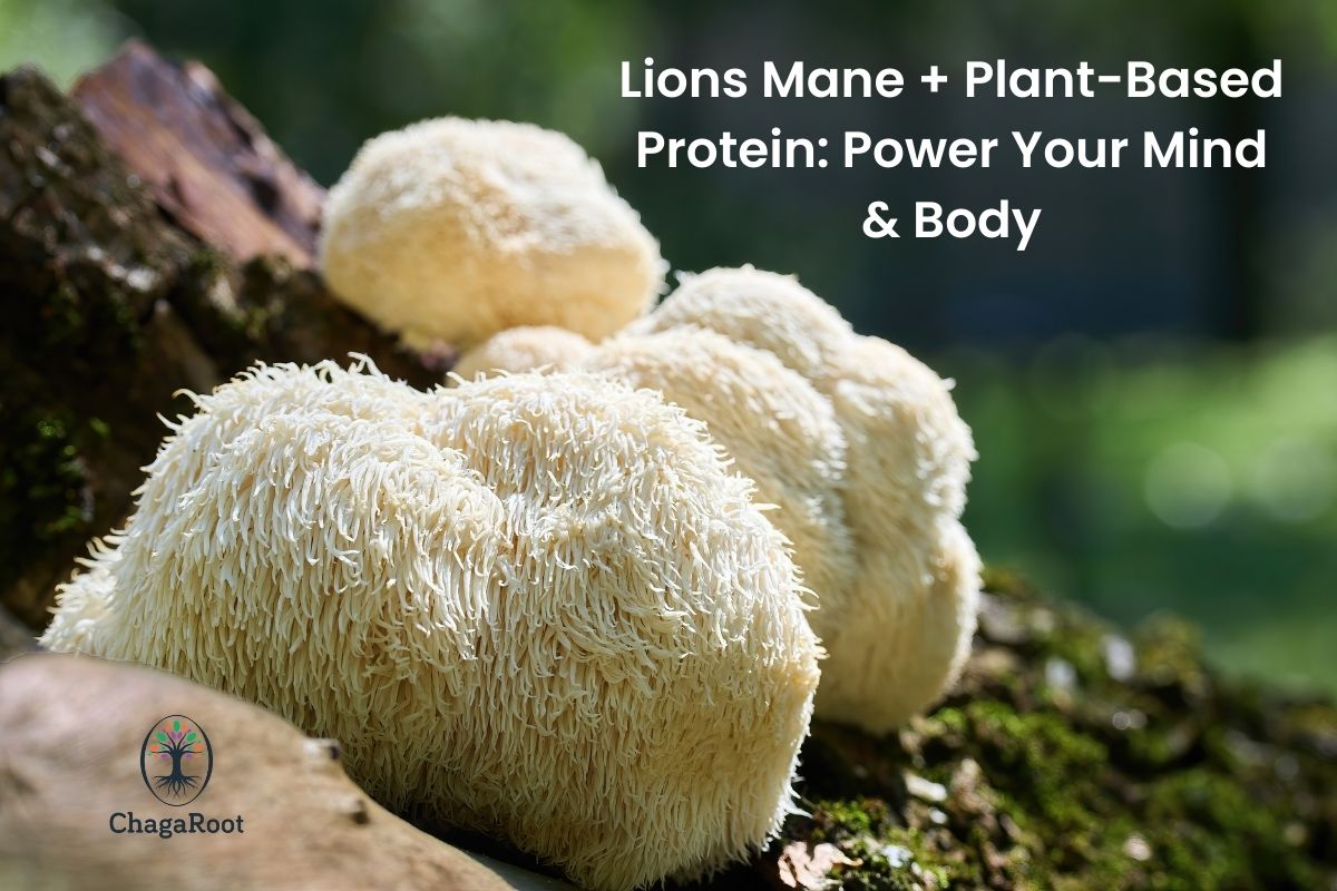 Lions Mane + Plant‑Based Protein: Power Your Mind and Body
