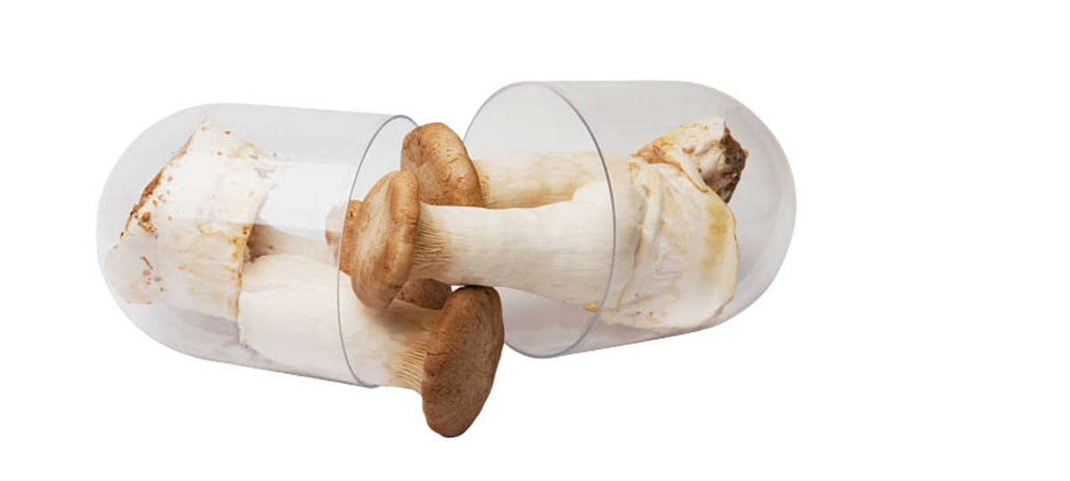 Chaga5: The Perfect Blend of Mushrooms for Optimal Health
