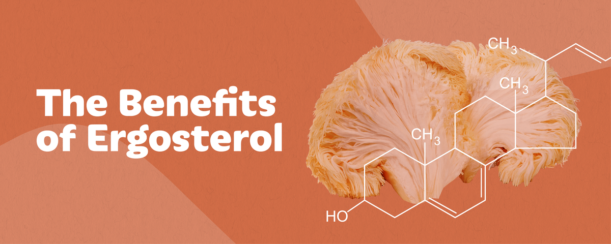 5 Astonishing Benefits of Ergosterol - The Vitamin D Precursor