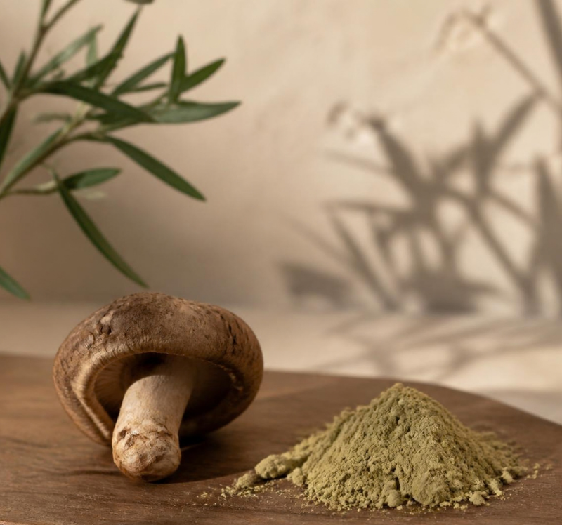 A Shiitake mushroom beside a pile of protein powder on a wooden board