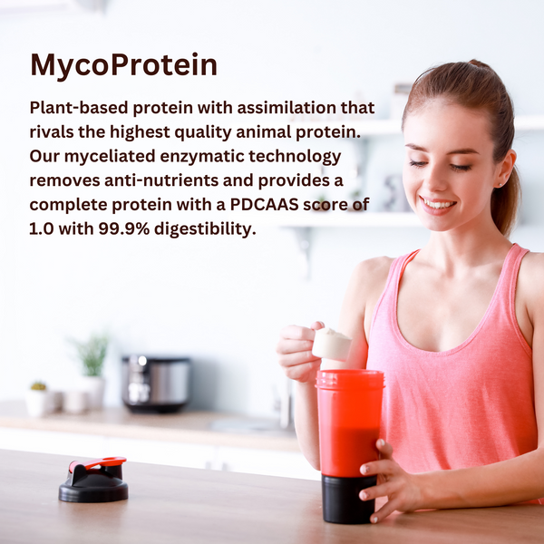 MycoProtein – ChagaRoot