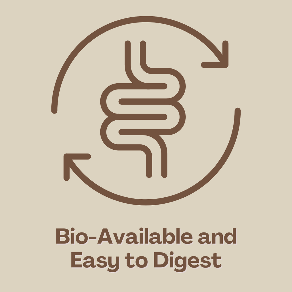 MycoProtein Plant-Based Mushroom Protein Powder