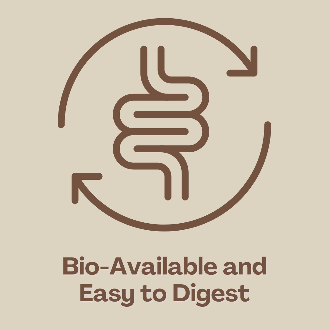 MycoProtein Plant-Based Mushroom Protein Powder